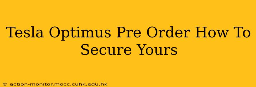 Tesla Optimus Pre Order How To Secure Yours