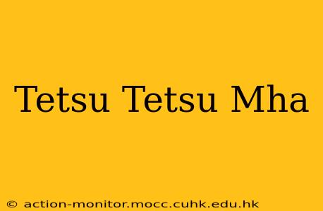 Tetsu Tetsu Mha