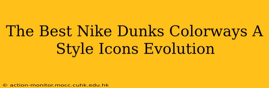 The Best Nike Dunks Colorways A Style Icons Evolution