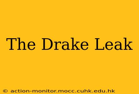 The Drake Leak