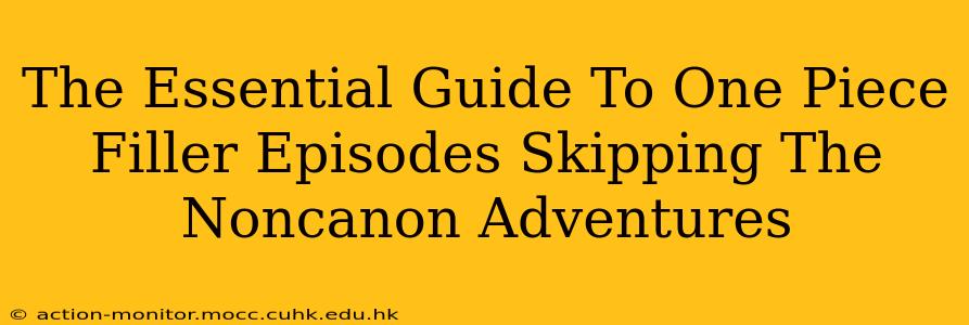 The Essential Guide To One Piece Filler Episodes Skipping The Noncanon Adventures