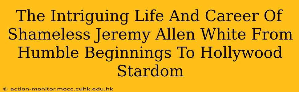 The Intriguing Life And Career Of Shameless Jeremy Allen White From Humble Beginnings To Hollywood Stardom