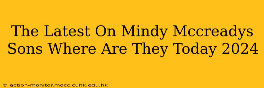 The Latest On Mindy Mccreadys Sons Where Are They Today 2024