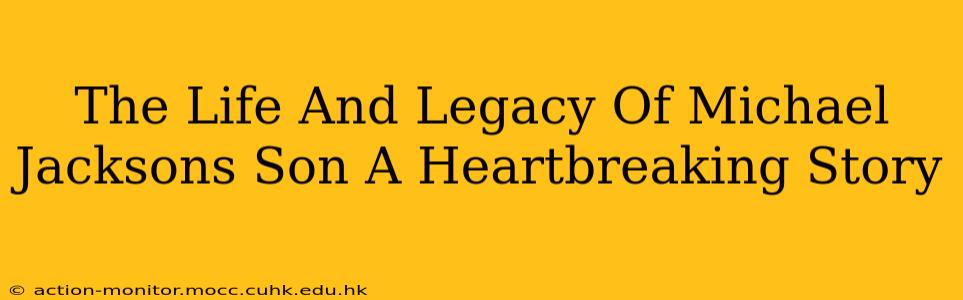 The Life And Legacy Of Michael Jacksons Son A Heartbreaking Story