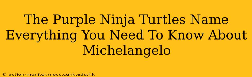 The Purple Ninja Turtles Name Everything You Need To Know About Michelangelo