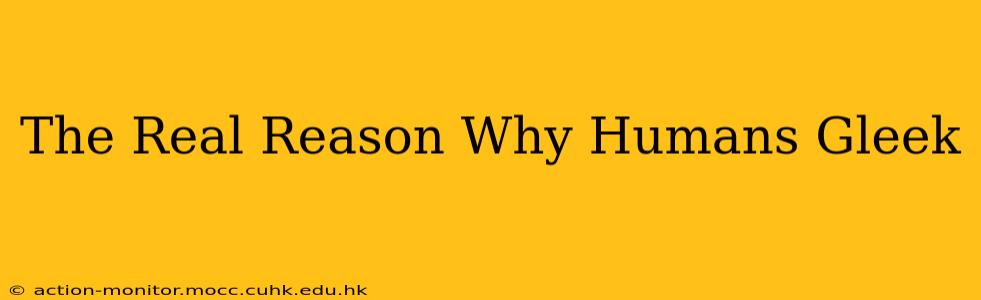 The Real Reason Why Humans Gleek