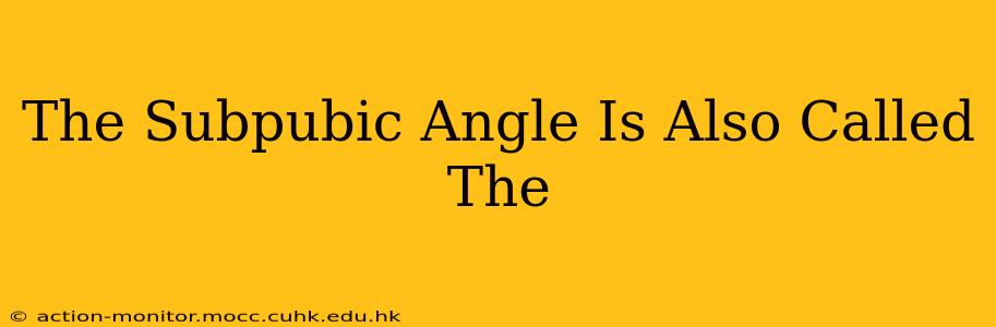 The Subpubic Angle Is Also Called The