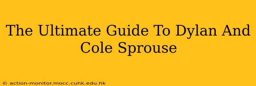 The Ultimate Guide To Dylan And Cole Sprouse