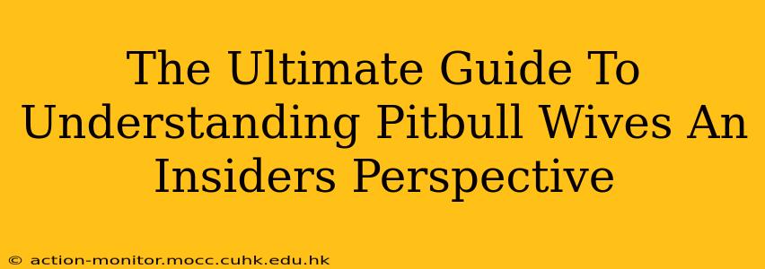 The Ultimate Guide To Understanding Pitbull Wives An Insiders Perspective