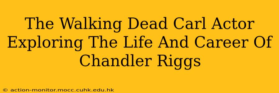 The Walking Dead Carl Actor Exploring The Life And Career Of Chandler Riggs