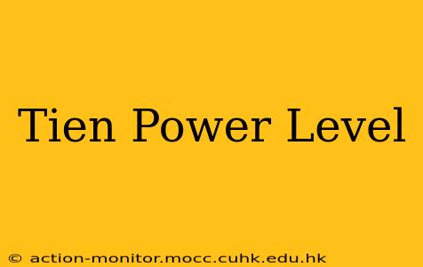 Tien Power Level