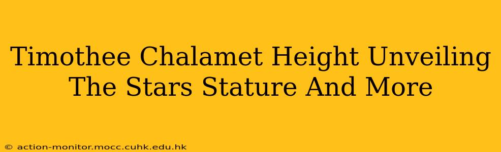Timothee Chalamet Height Unveiling The Stars Stature And More