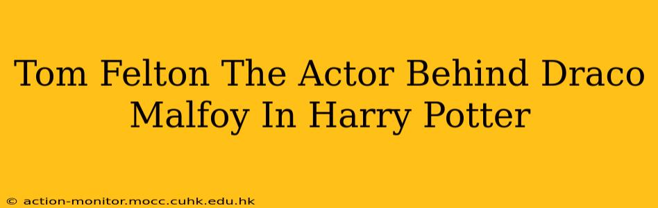 Tom Felton The Actor Behind Draco Malfoy In Harry Potter