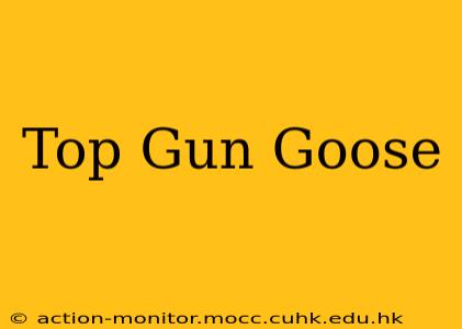 Top Gun Goose