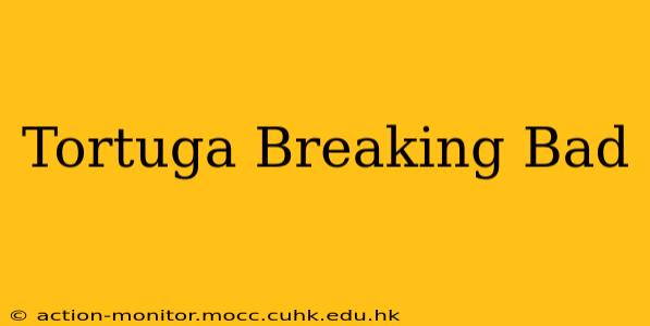 Tortuga Breaking Bad