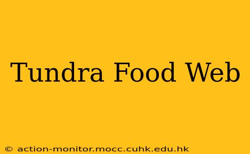 Tundra Food Web