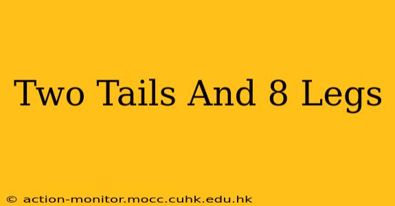 Two Tails And 8 Legs