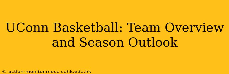 UConn Basketball: Team Overview and Season Outlook