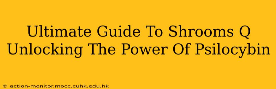 Ultimate Guide To Shrooms Q Unlocking The Power Of Psilocybin