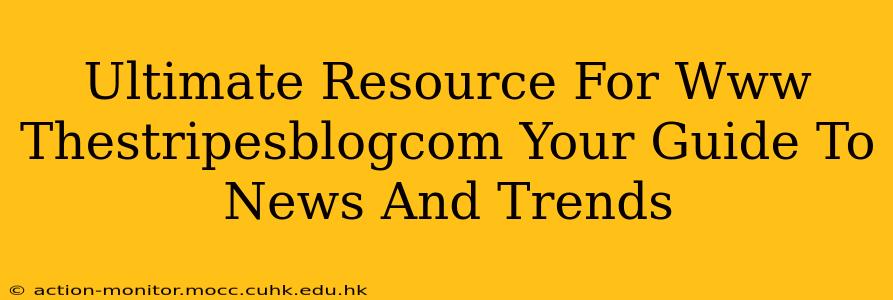 Ultimate Resource For Www Thestripesblogcom Your Guide To News And Trends