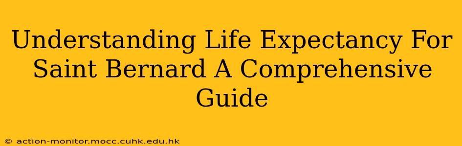 Understanding Life Expectancy For Saint Bernard A Comprehensive Guide
