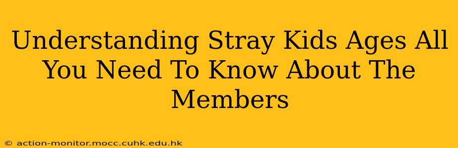 Understanding Stray Kids Ages All You Need To Know About The Members