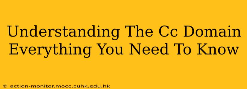 Understanding The Cc Domain Everything You Need To Know