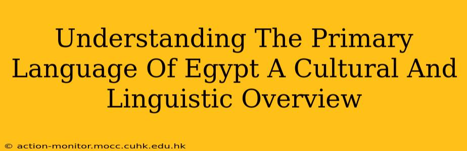 Understanding The Primary Language Of Egypt A Cultural And Linguistic Overview