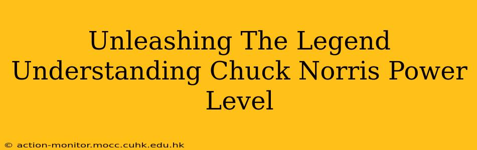 Unleashing The Legend Understanding Chuck Norris Power Level