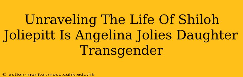Unraveling The Life Of Shiloh Joliepitt Is Angelina Jolies Daughter Transgender