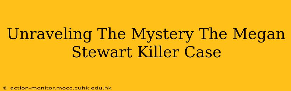 Unraveling The Mystery The Megan Stewart Killer Case