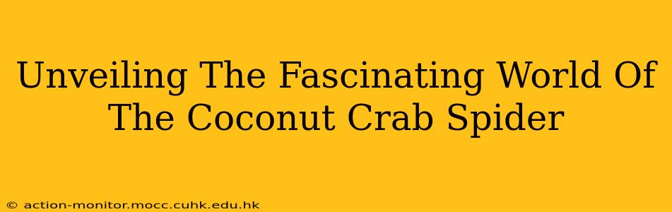 Unveiling The Fascinating World Of The Coconut Crab Spider