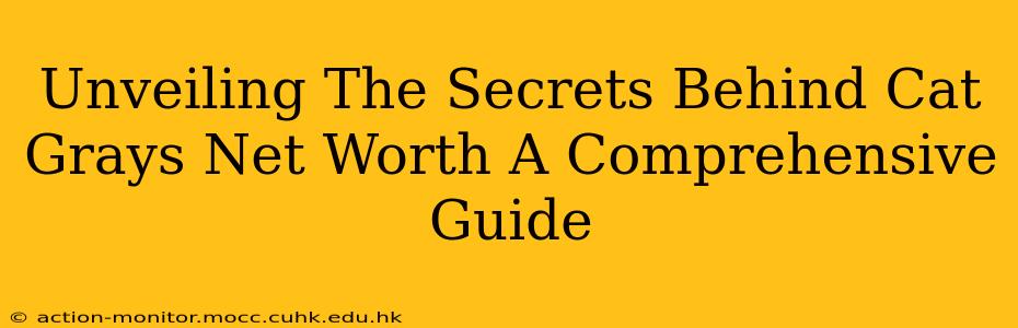 Unveiling The Secrets Behind Cat Grays Net Worth A Comprehensive Guide
