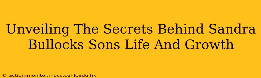 Unveiling The Secrets Behind Sandra Bullocks Sons Life And Growth