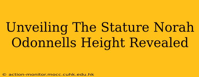 Unveiling The Stature Norah Odonnells Height Revealed