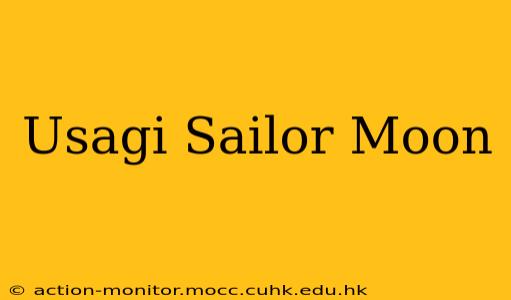 Usagi Sailor Moon