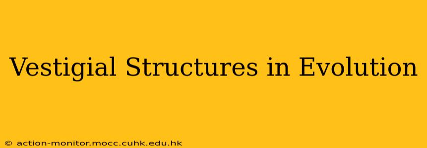 Vestigial Structures in Evolution