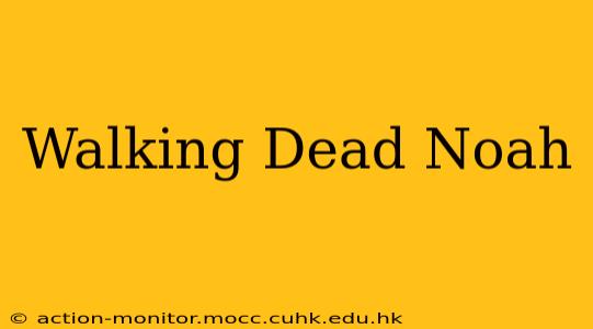 Walking Dead Noah