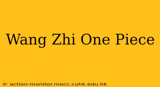 Wang Zhi One Piece