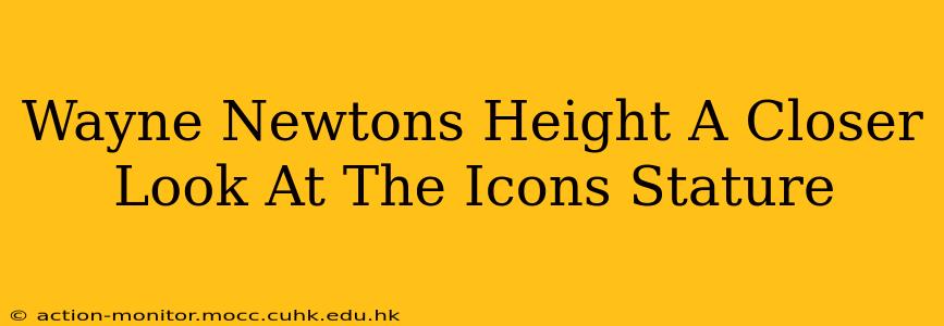 Wayne Newtons Height A Closer Look At The Icons Stature