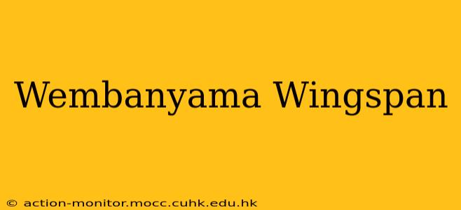 Wembanyama Wingspan