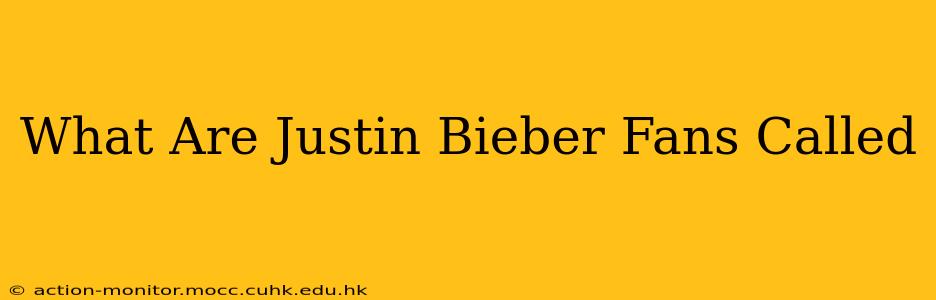What Are Justin Bieber Fans Called
