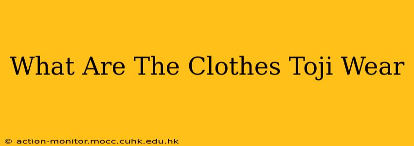 What Are The Clothes Toji Wear
