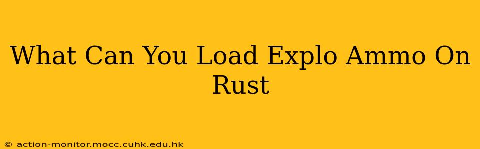 What Can You Load Explo Ammo On Rust