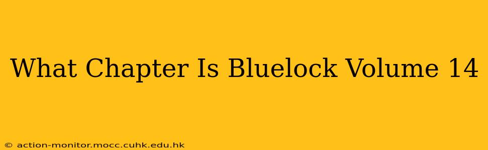 What Chapter Is Bluelock Volume 14