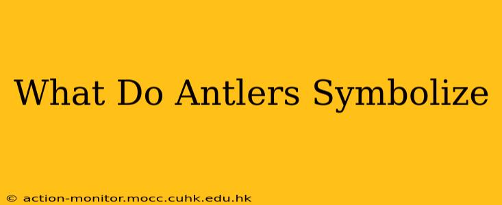 What Do Antlers Symbolize