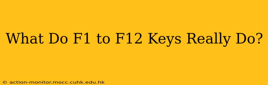 What Do F1 to F12 Keys Really Do?