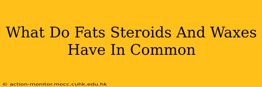 What Do Fats Steroids And Waxes Have In Common
