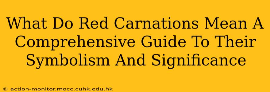 What Do Red Carnations Mean A Comprehensive Guide To Their Symbolism And Significance