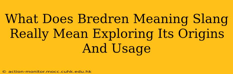What Does Bredren Meaning Slang Really Mean Exploring Its Origins And Usage